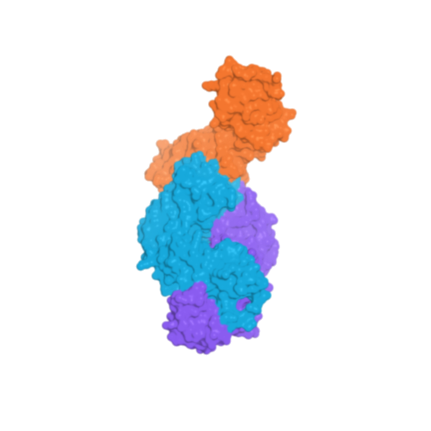 Biomolecular structure co-folding animation